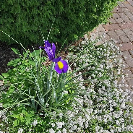 Vakantiepark Oliwia *