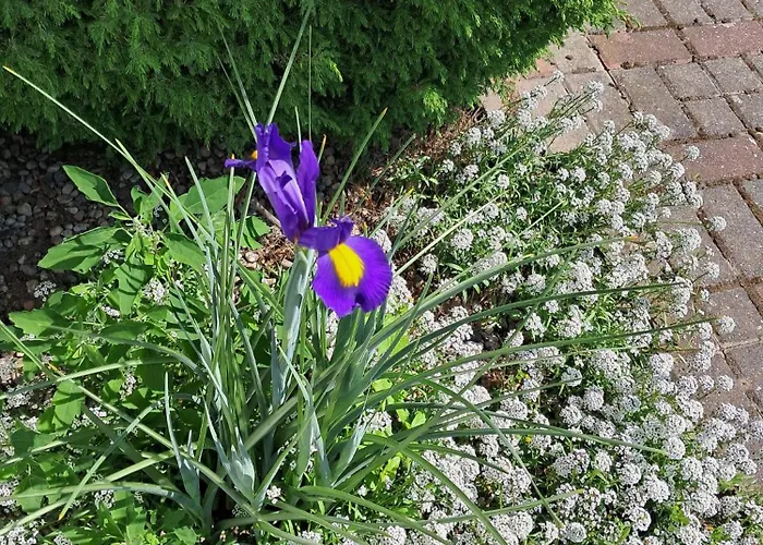 Vakantiepark Oliwia *